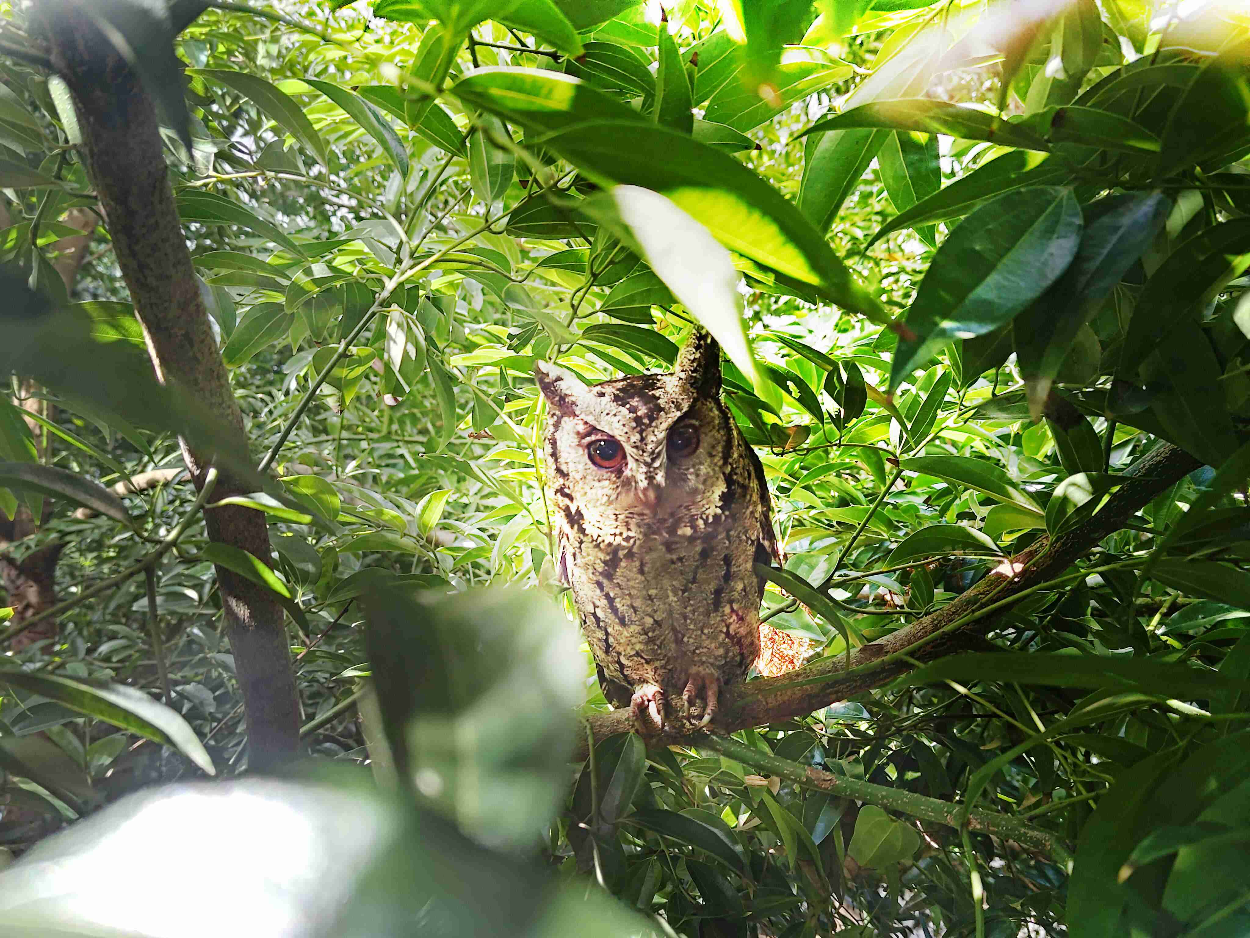 冰球突破致力提倡净零绿生活，，，16年以来在全球各厂区植树逾百万棵，，，，造就各厂区树木蔚然成林，，，，犹如森林工厂，，，成为许多生物的栖息地